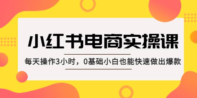 小红书·电商实操课：每天操作3小时，0基础小白也能快速做出爆款-选优云网创