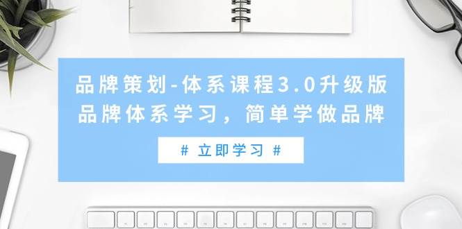 品牌策划-体系课程3.0升级版，品牌体系学习，简单学做品牌（高清无水印）-选优云网创