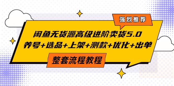 闲鱼无货源高级进阶卖货5.0，养号+选品+上架+测款+优化+出单整套流程教程-选优云网创