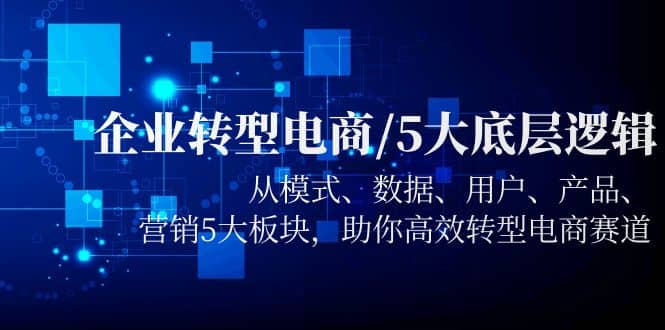 企业转型电商/5大底层逻辑，从模式 数据 用户 产品 营销5大板块，高效转型-选优云网创