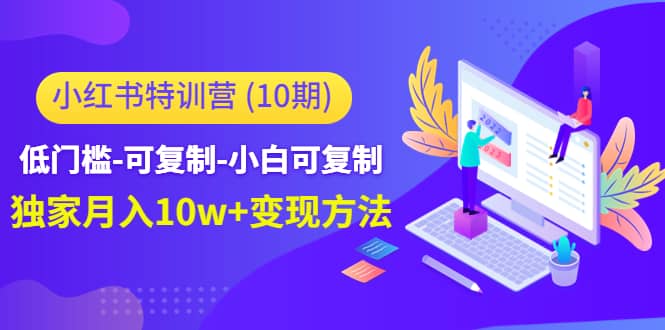 小红书特训营（第10期）低门槛-可复制-小白可复制-选优云网创