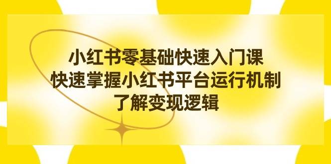 小红书0基础快速入门课，快速掌握小红书平台运行机制，了解变现逻辑-选优云网创