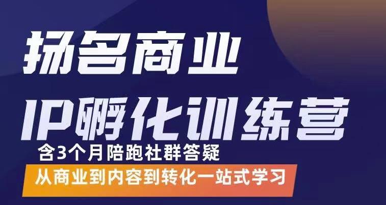 杨名商业IP孵化训练营，从商业到内容到转化一站式学 价值5980元-选优云网创