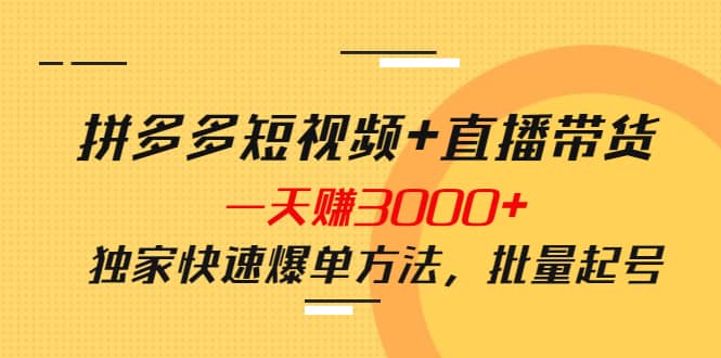 拼多多短视频+直播带货，一天赚3000+独家快速爆单方法，批量起号-选优云网创