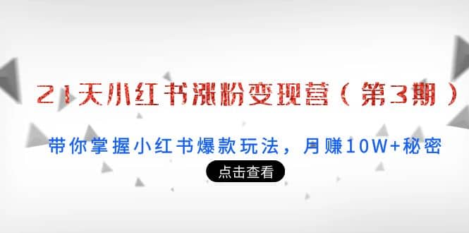 21天小红书涨粉变现营（第3期）：带你掌握小红书爆款玩法，月赚10W+秘密-选优云网创