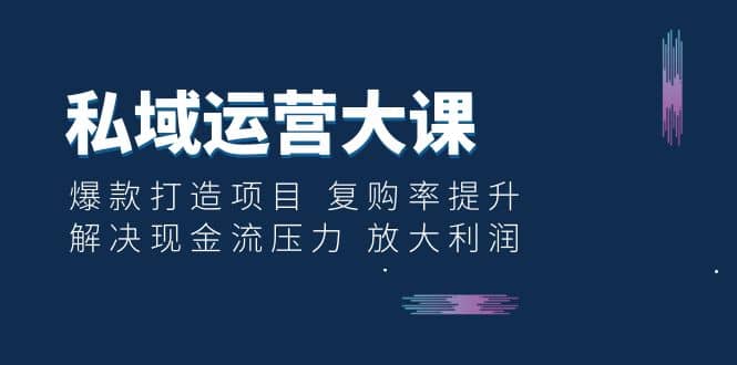 私域运营大课：爆款打造项目 复购率提升 解决现金流压力 放大利润-选优云网创