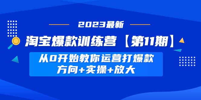 淘宝爆款训练营【第11期】 从0开始教你运营打爆款，方向+实操+放大-选优云网创