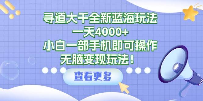 寻道大千全新蓝海玩法，一天4000+，小白一部手机即可操作，无脑变现玩法！-选优云网创