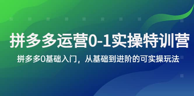 拼多多-运营0-1实操训练营，拼多多0基础入门，从基础到进阶的可实操玩法-选优云网创