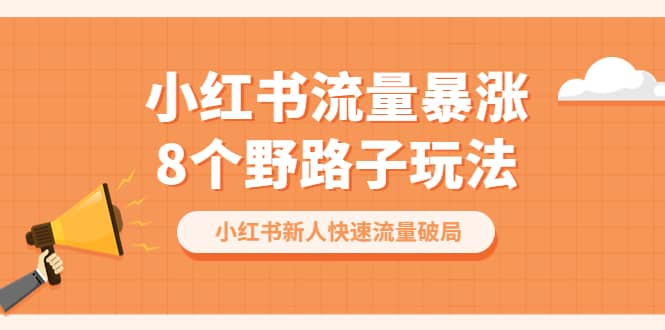 小红书流量-暴涨8个野路子玩法：小红书新人快速流量破局（8节课）-选优云网创