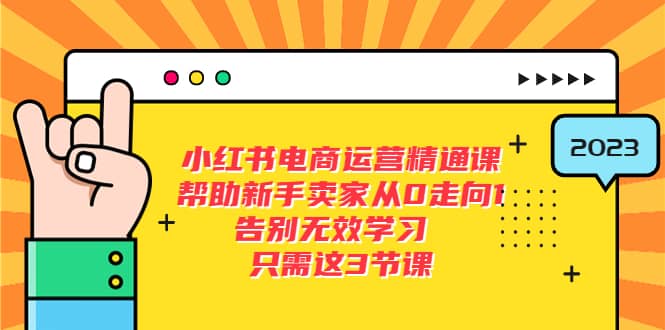 小红书电商·运营精通课，帮助新手卖家从0走向1 告别无效学习（7节视频课）-选优云网创