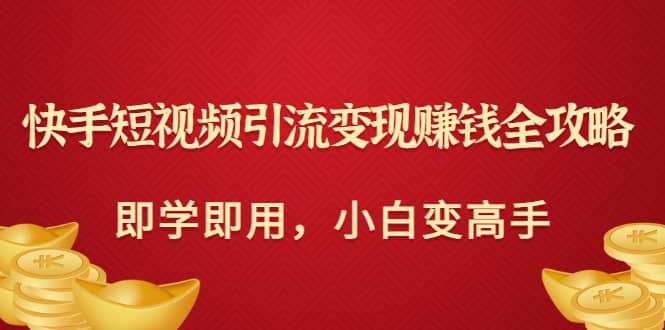 快手短视频引流变现赚钱全攻略：即学即用，小白变高手（价值980元）-选优云网创