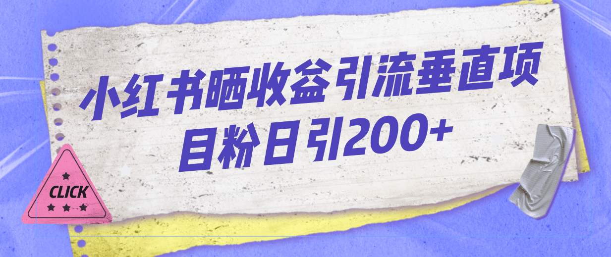 小红书晒收益图引流垂直项目粉日引200+-选优云网创