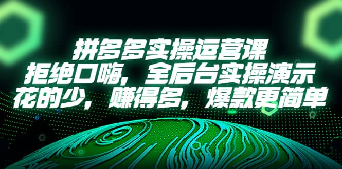 拼多多实操运营课：拒绝口嗨，全后台实操演示，花的少，赚得多，爆款更简单-选优云网创