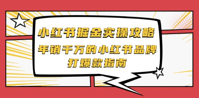 小红书掘金实操攻略，年销千万的小红书品牌打爆款指南-选优云网创