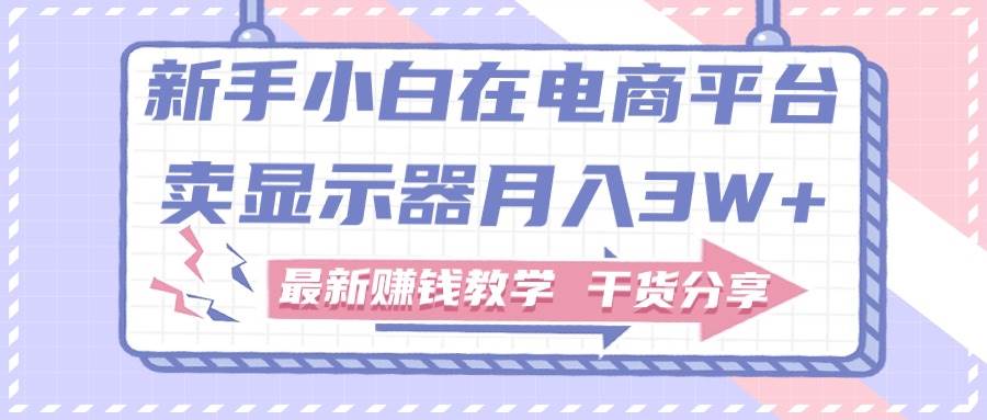 新手小白如何做到在电商平台卖显示器月入3W+，最新赚钱教学干货分享-选优云网创