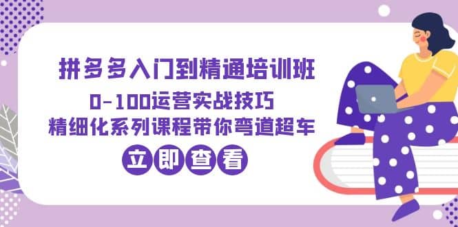 2023拼多多入门到精通培训班：0-100运营实战技巧 精细化系列课带你弯道超车-选优云网创