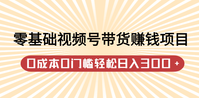 零基础视频号带货赚钱项目，0成本0门槛轻松日入300+【视频教程】-选优云网创