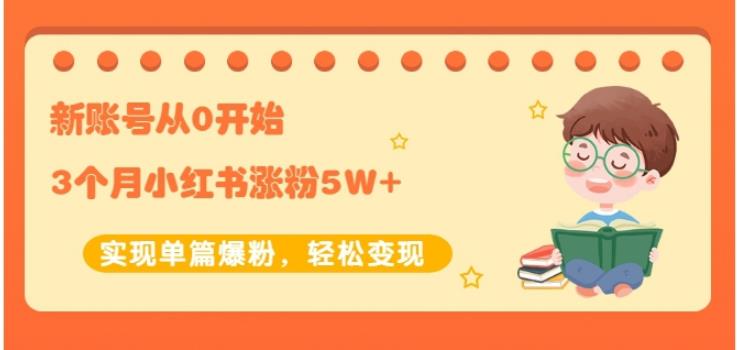 新账号从0开始3个月小红书涨粉5W+实现单篇爆粉，轻松变现（干货）-选优云网创