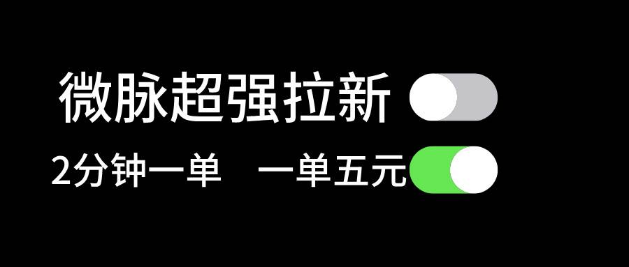 微脉超强拉新， 两分钟1单， 一单利润5块，适合小白-选优云网创