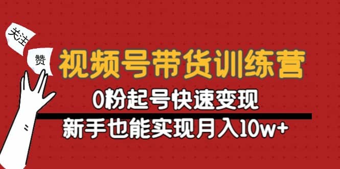 视频号带货训练营：0粉起号快速变现-选优云网创