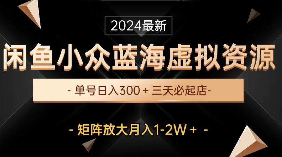 最新闲鱼小众蓝海虚拟资源，单号日入300＋，三天必起店，矩阵放大月入1-2W-选优云网创