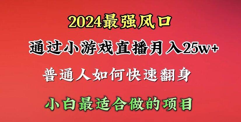 2024年最强风口，通过小游戏直播月入25w+单日收益5000+小白最适合做的项目-选优云网创