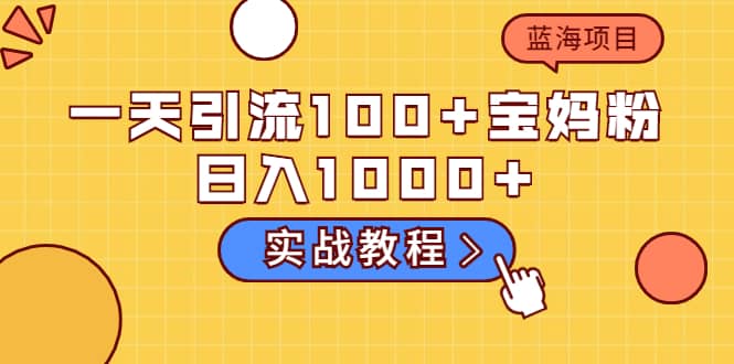 一天引流100+宝妈粉，日入1000+的蓝海项目（实战教程）-选优云网创