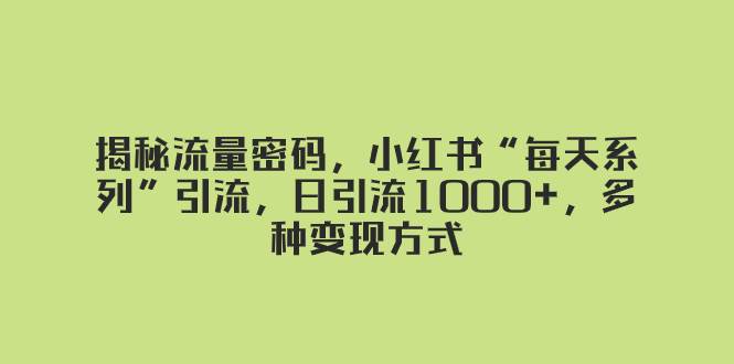 揭秘流量密码，小红书“每天系列”引流，日引流1000+，多种变现方式-选优云网创