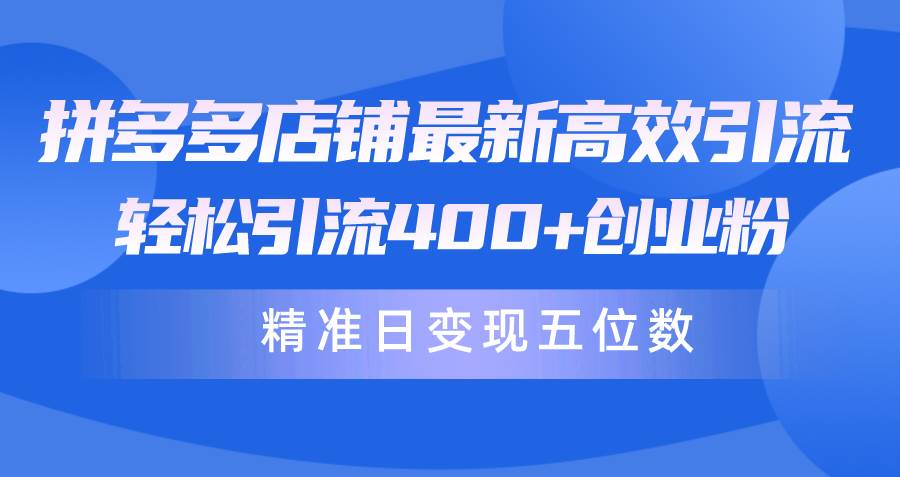 拼多多店铺最新高效引流术，轻松引流400+创业粉，精准日变现五位数！-选优云网创