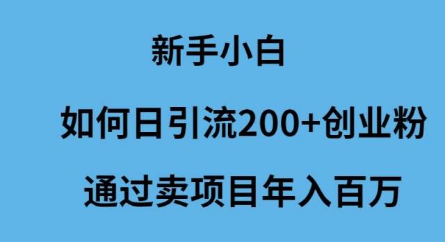 新手小白如何日引流200+创业粉通过卖项目年入百万-选优云网创