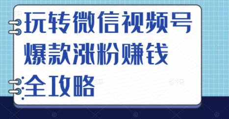 玩转微信视频号爆款涨粉赚钱全攻略，让你快速抓住流量风口，收获红利财富-选优云网创