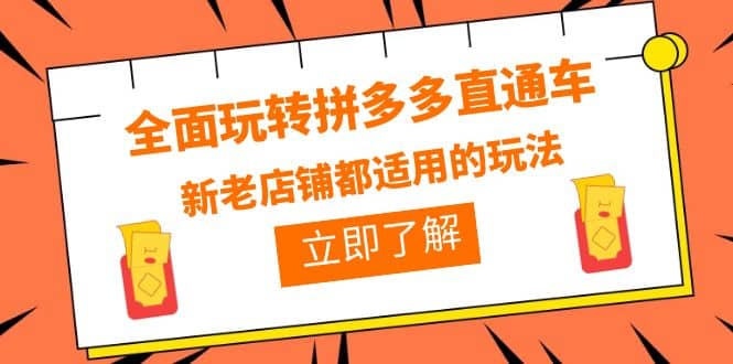 全面玩转拼多多直通车，新老店铺都适用的玩法（12节精华课）-选优云网创