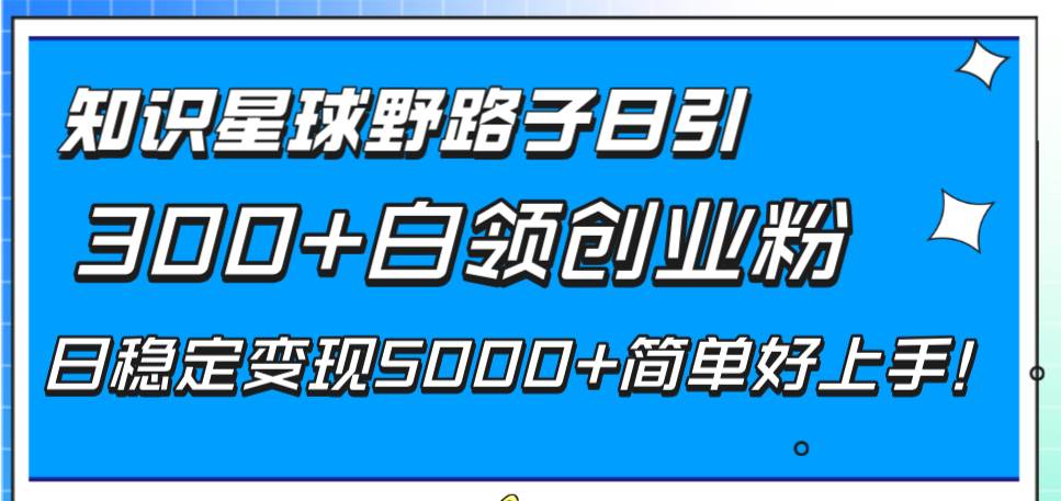 知识星球野路子日引300+白领创业粉，日稳定变现5000+简单好上手！-选优云网创