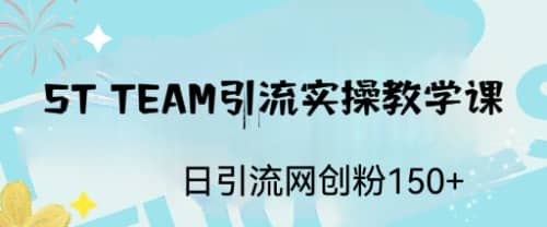 ST TEAM引流实操课，日引流网创粉100+-选优云网创