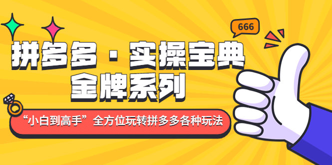 拼多多·实操宝典：金牌系列“小白到高手”带你全方位玩转拼多多各种玩法-选优云网创