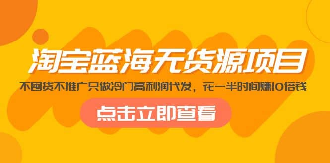 淘宝蓝海无货源项目，不囤货不推广只做冷门高利润代发-选优云网创