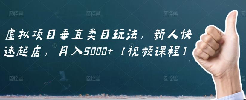 虚拟项目垂直类目玩法，新人快速起店，月入5000+【视频课程】-选优云网创