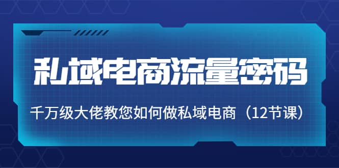 私域电商流量密码：千万级大佬教您如何做私域电商（12节课）-选优云网创