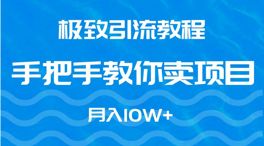 极致引流教程，手把手教你卖项目，月入10W+-选优云网创