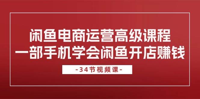 闲鱼电商运营高级课程，一部手机学会闲鱼开店赚钱（34节课）-选优云网创