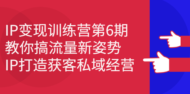 IP变现训练营第6期：教你搞流量新姿势，IP打造获客私域经营-选优云网创