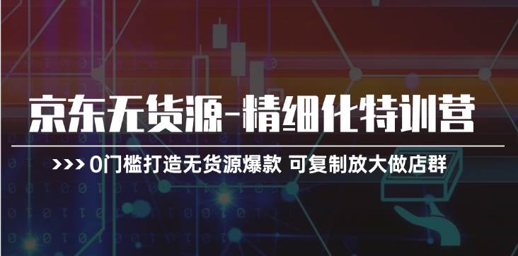 京东无货源-精细化特训营，0门槛打造无货源爆款 可复制放大做店群-选优云网创