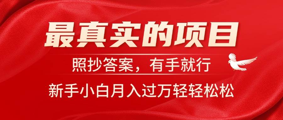 最真实的项目，照抄答案，有手就行，新手小白月入过万轻轻松松-选优云网创