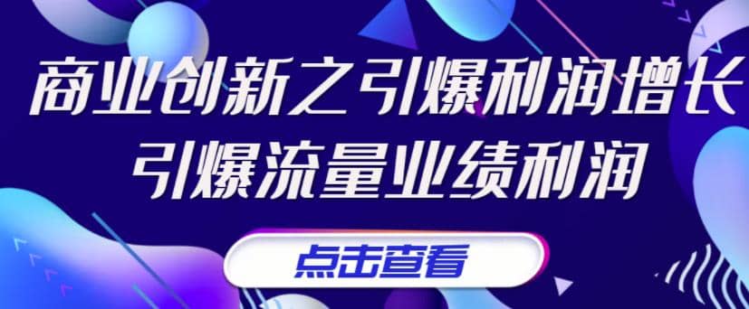 《商业创新之引爆利润增长》引爆流量业绩利润-选优云网创