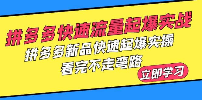 拼多多-快速流量起爆实战，拼多多新品快速起爆实操，看完不走弯路-选优云网创