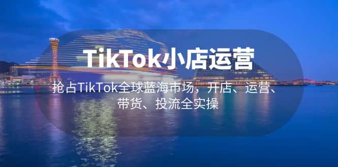 TikTok小店运营 抢占TikTok全球蓝海市场，开店、运营、带货、投流全实操-选优云网创