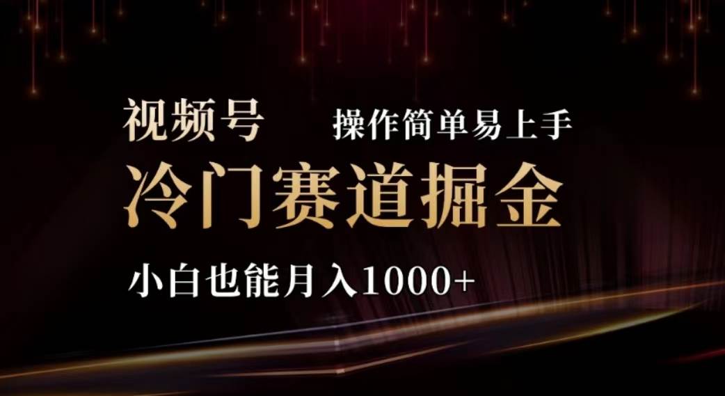 2024视频号冷门赛道掘金，操作简单轻松上手，小白也能月入1000+-选优云网创