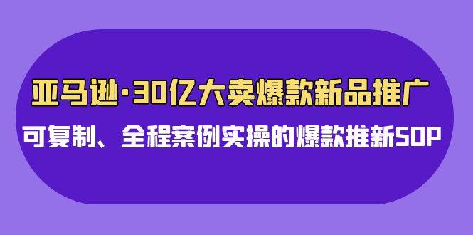 亚马逊30亿·大卖爆款新品推广，可复制、全程案例实操的爆款推新SOP-选优云网创