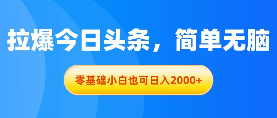 拉爆今日头条，简单无脑，零基础小白也可日入2000+-选优云网创